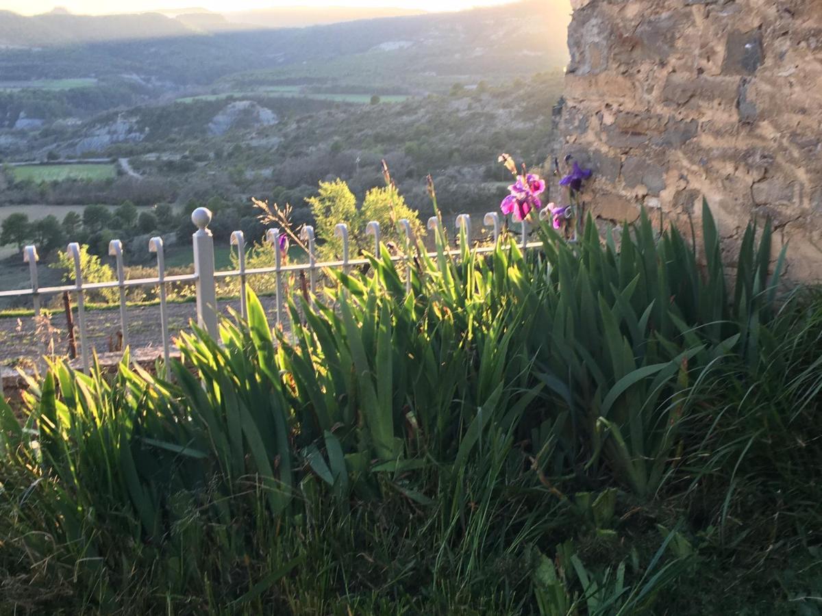 La Abadia ξενώνας Coscojuela de Sobrarbe Εξωτερικό φωτογραφία