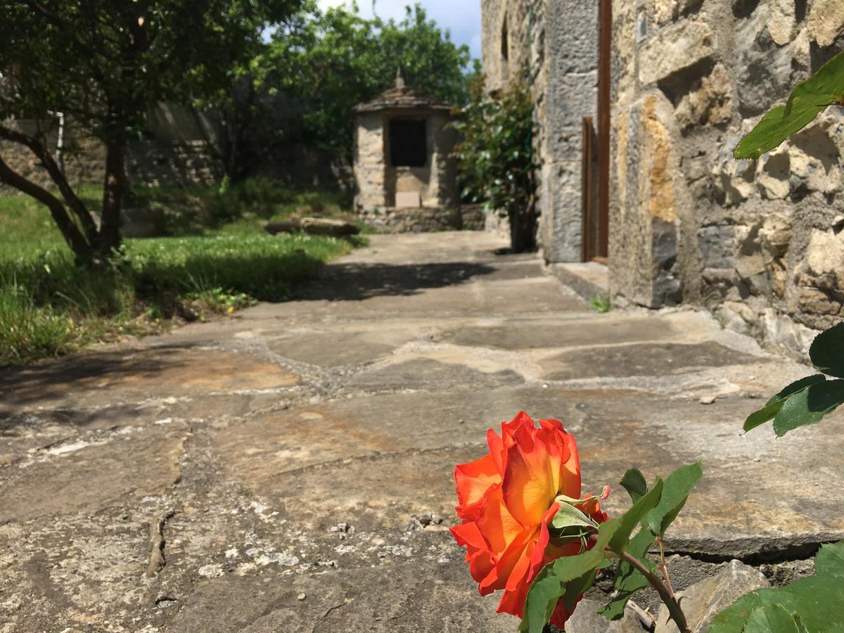 La Abadia ξενώνας Coscojuela de Sobrarbe Εξωτερικό φωτογραφία